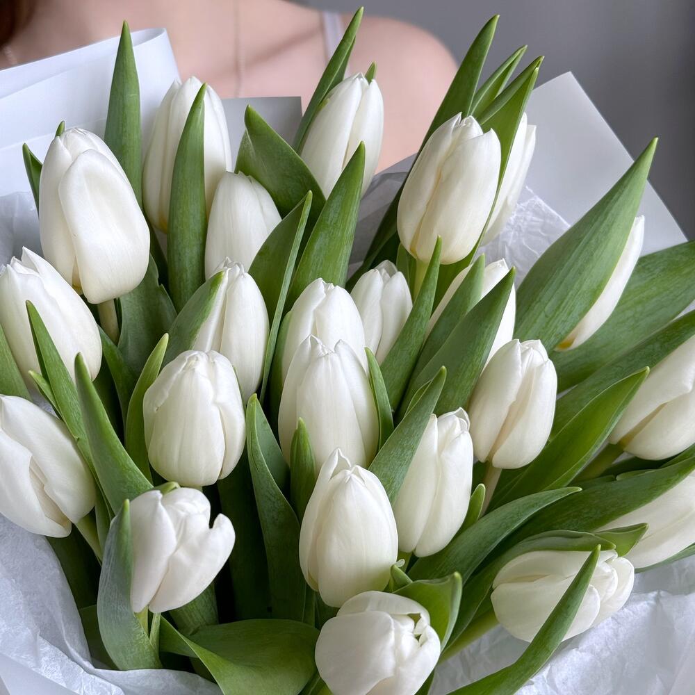 Белые тюльпаны — вид 3