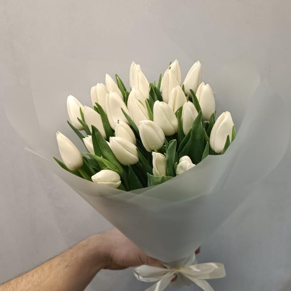 Белые тюльпаны — вид 3