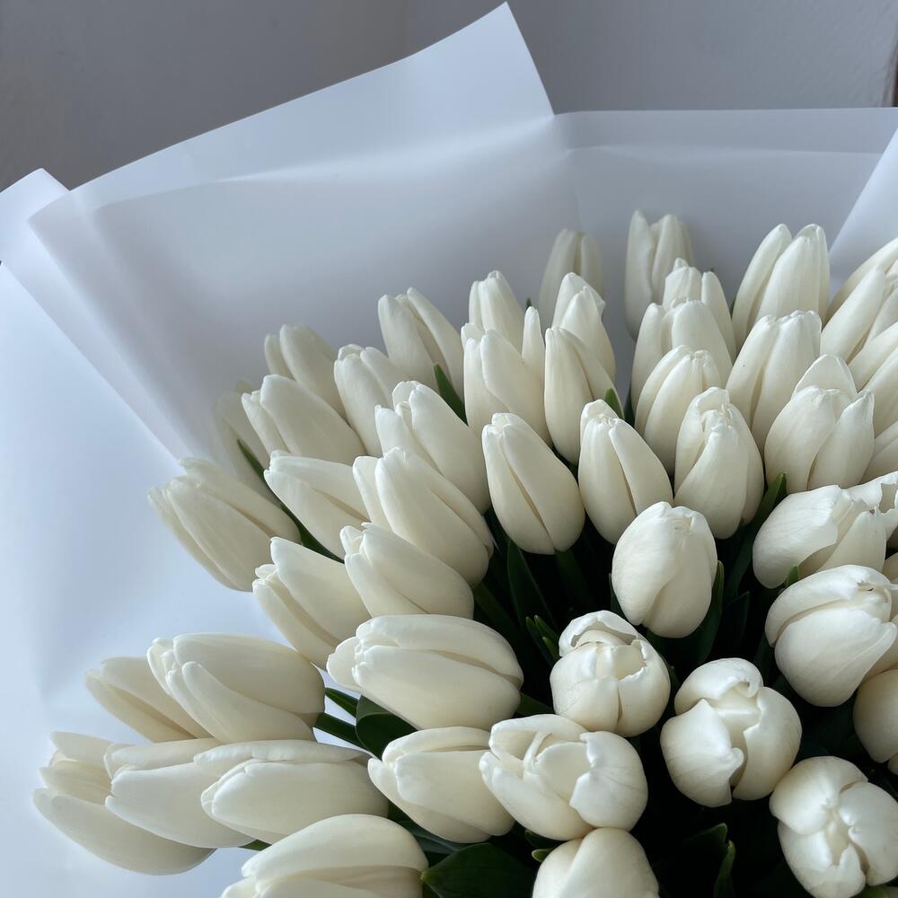 Белые тюльпаны — вид 4