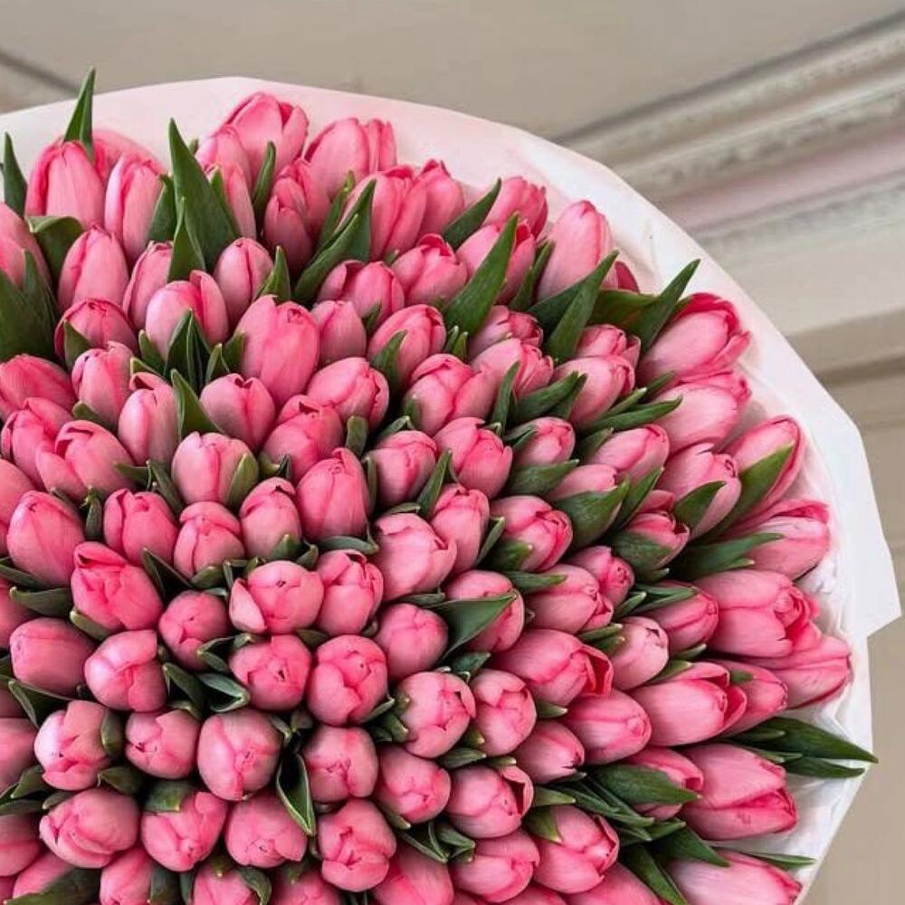 розовые тюльпаны — вид 4