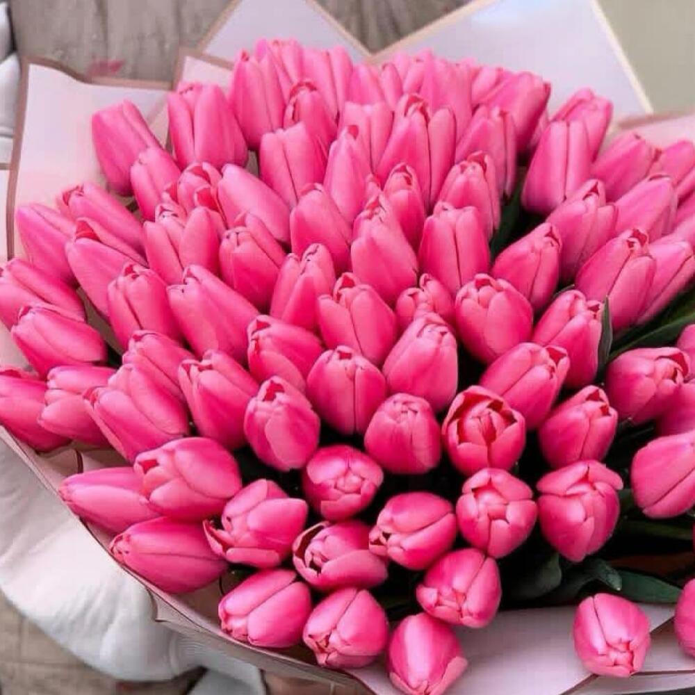 Розовые тюльпаны  — вид 2