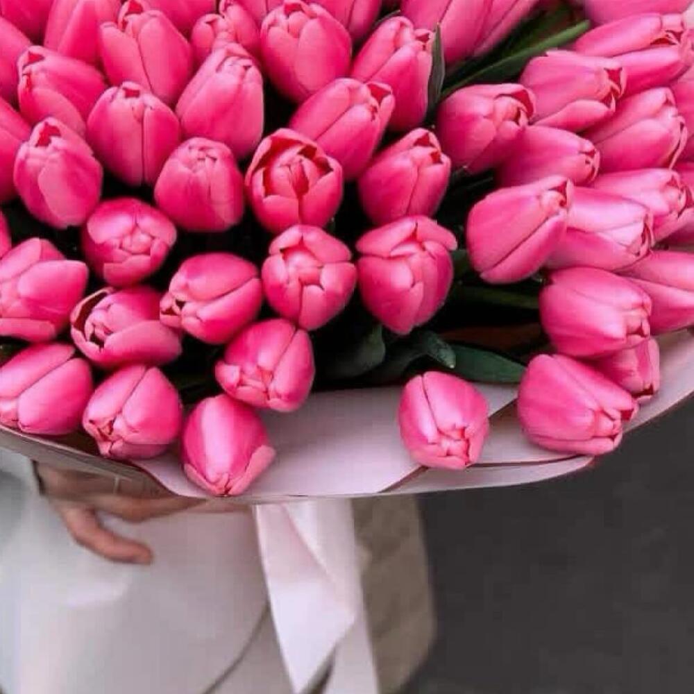 Розовые тюльпаны  — вид 3