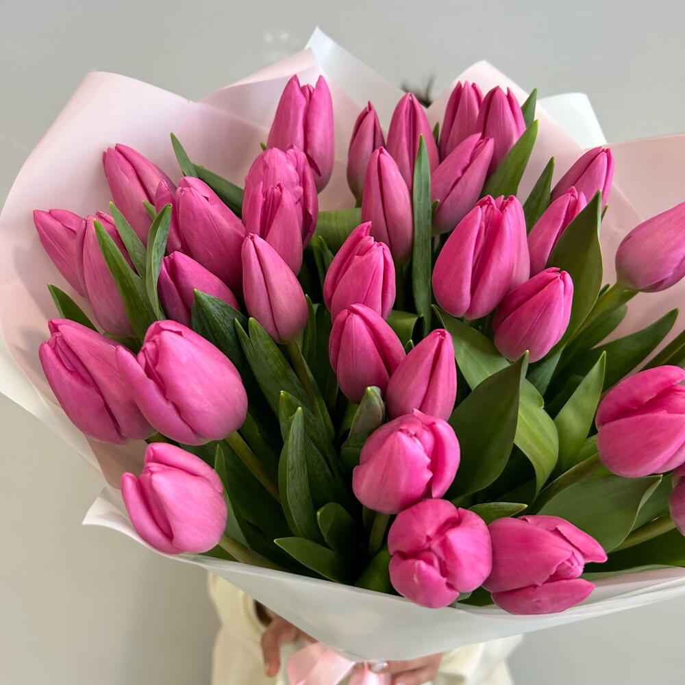 Розовые тюльпаны — вид 2