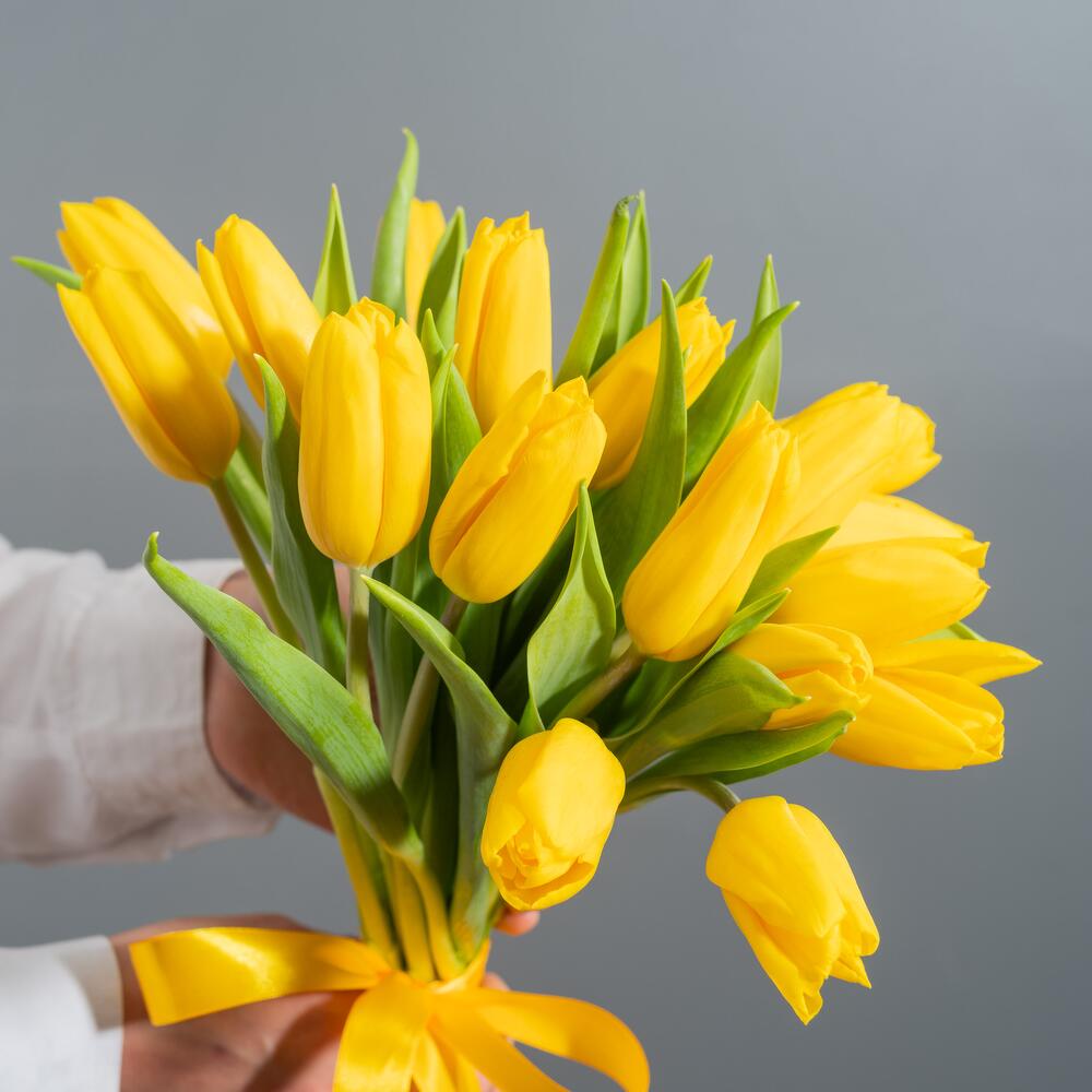 Желтые тюльпаны — вид 5