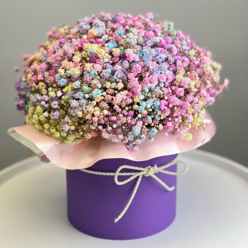 Спектр красок — вид 2