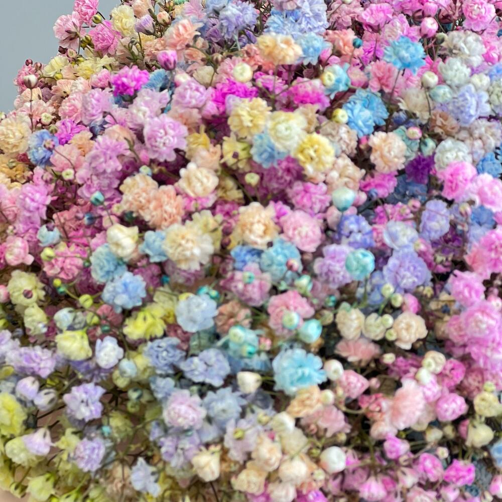 Спектр красок — вид 3