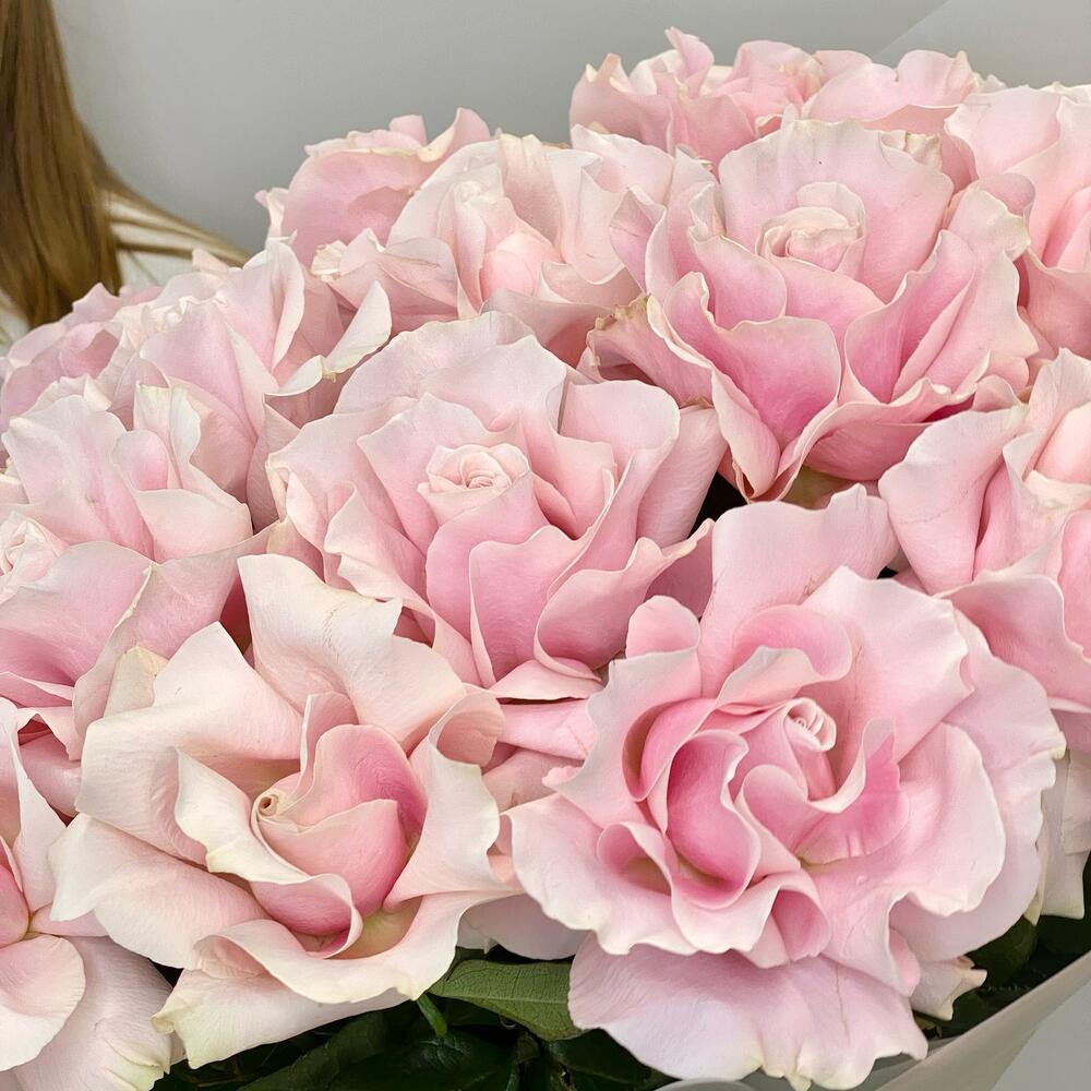 Утро Японии — вид 5