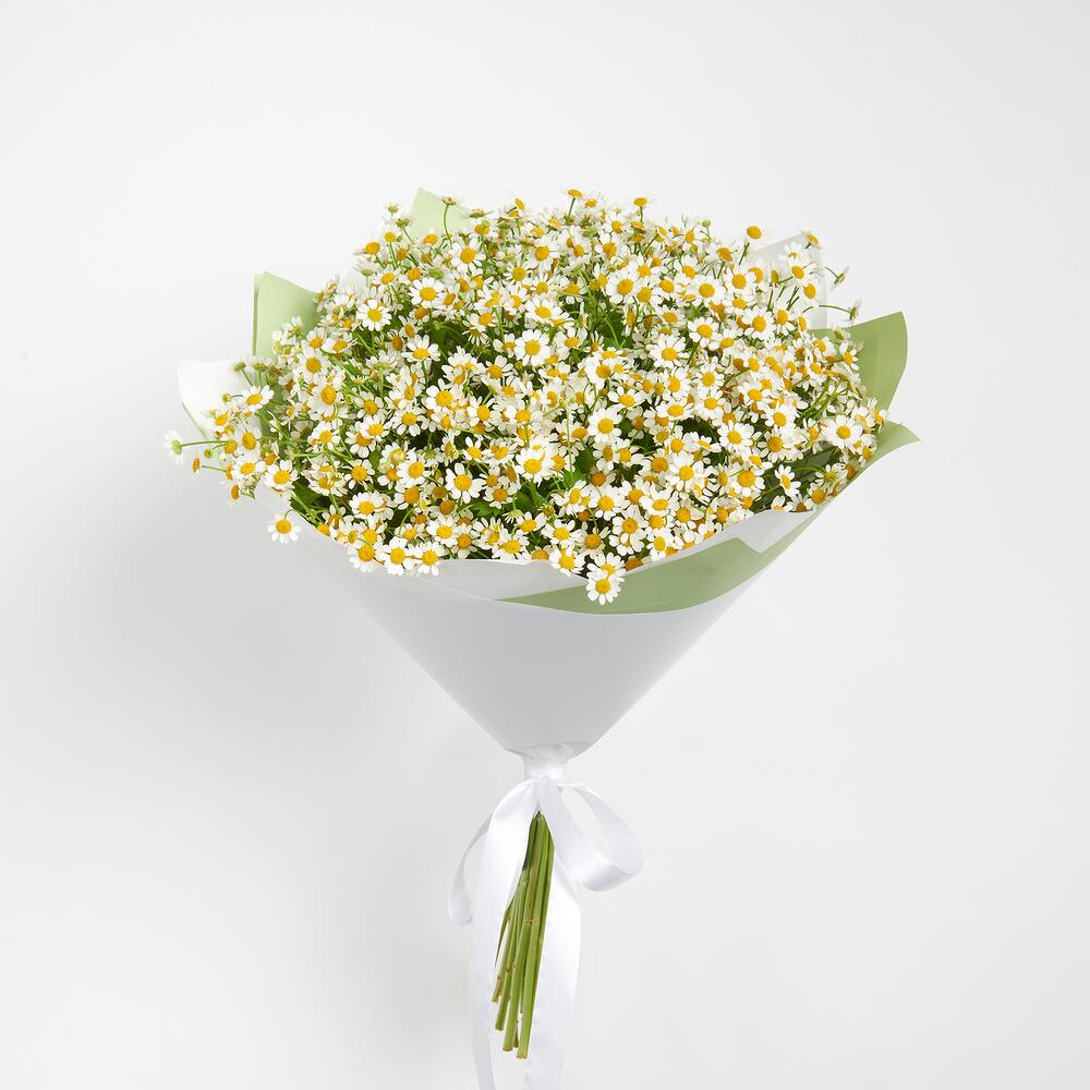 Летняя радость — вид 3