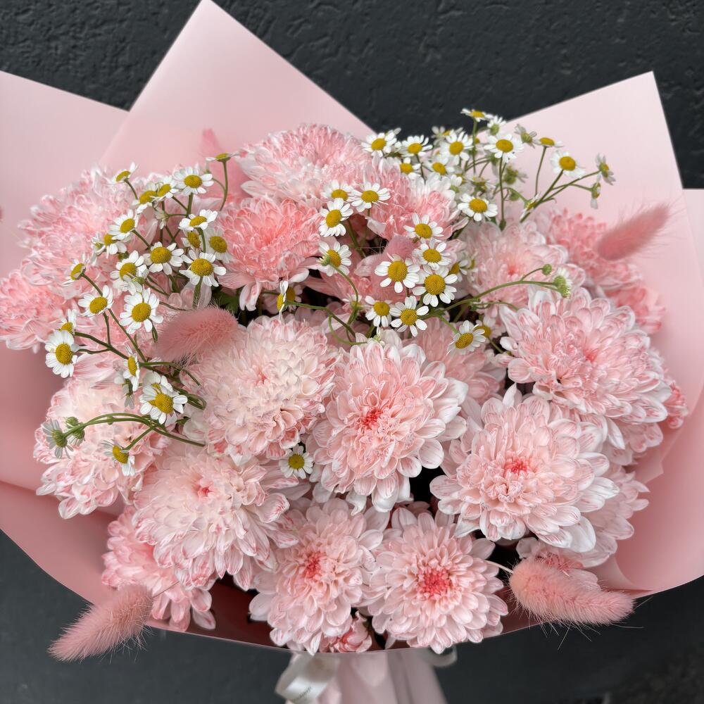 Принцесса — вид 3